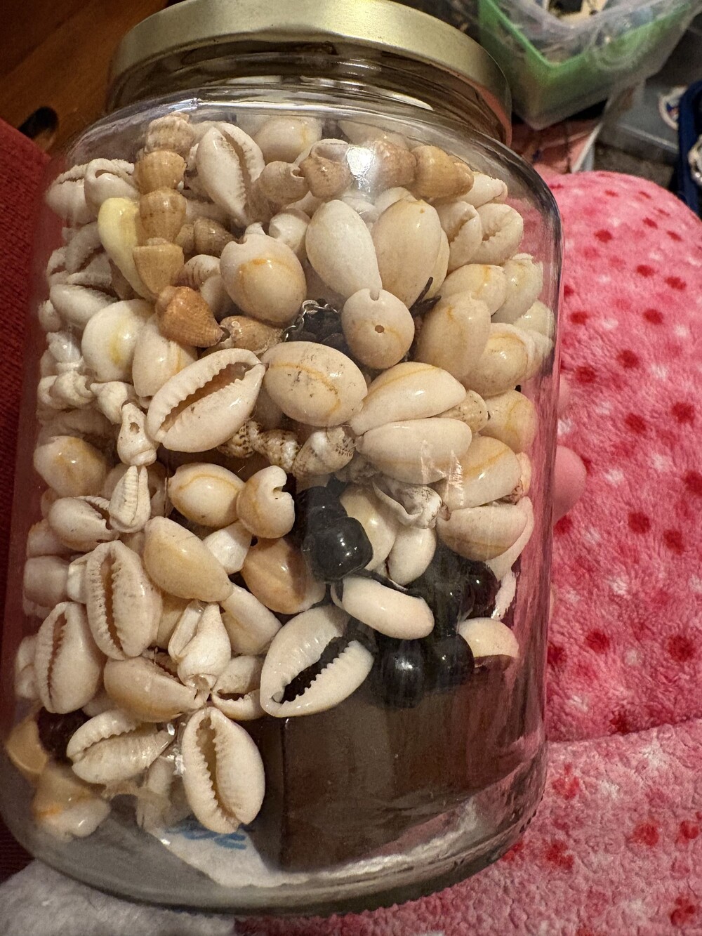 Mystery Jewelry Jar Filled with Assorted Natural Seashells Coastal vibes